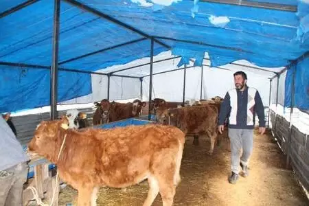 Müdürlükten emekli olunca hayalini kurduğu besiciliğe başladı: Çok karlı bir iş