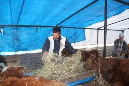 Müdürlükten emekli olunca hayalini kurduğu besiciliğe başladı: Çok karlı bir iş