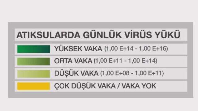 Atık sulardaki 'koronavirüs haritası' mutasyonu ortaya çıkardı