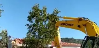 Datça'da kaçak yapıların yıkımına başlandı