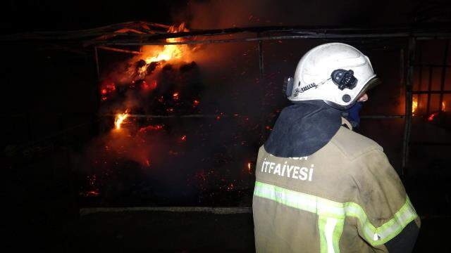 Ormanın içindeki ahırda çıkan yangında 7 at telef oldu