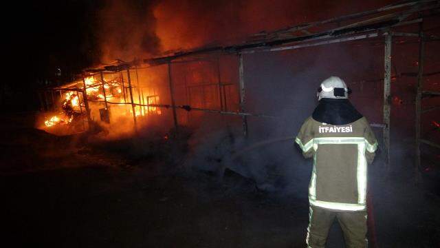 Ormanın içindeki ahırda çıkan yangında 7 at telef oldu