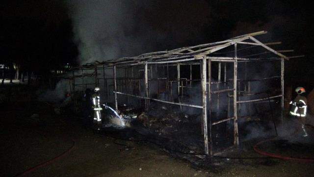 Ormanın içindeki ahırda çıkan yangında 7 at telef oldu