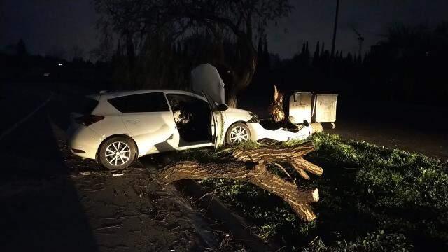 Polis memuru, yolda önüne çıkan köpeğe çarpmamak için kaza yaptı