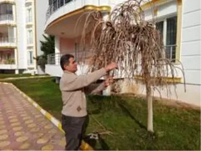 Kapıcılar Kralı filmi Siirt'te gerçek oldu