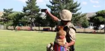 Jandarma, can dostları köpekler için kısa film çekti