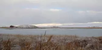 Sakarmeke kuşları buzla kaplı gölde mahsur kaldı