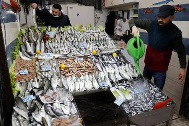'Denizlerin prensi' lüferin kilosu 100 liraya düştü