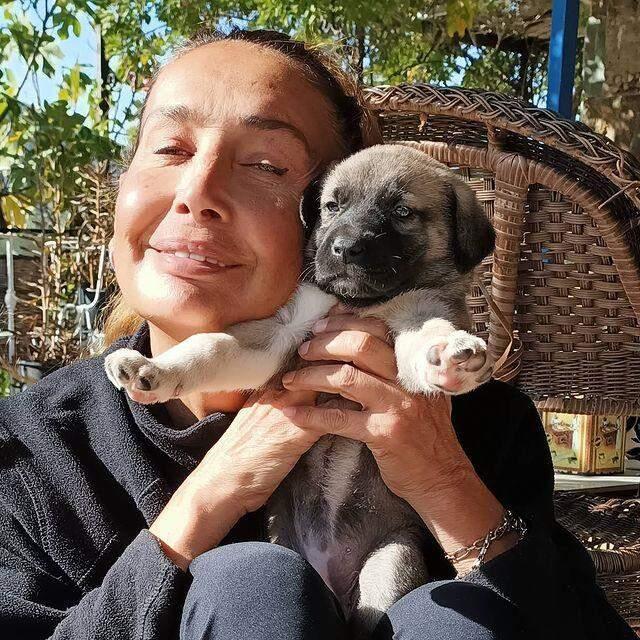 Ünlü manken, evinde baktığı transseksüel arkadaşı tarafından ihanet uğradı! Hayvanları bile çalmış