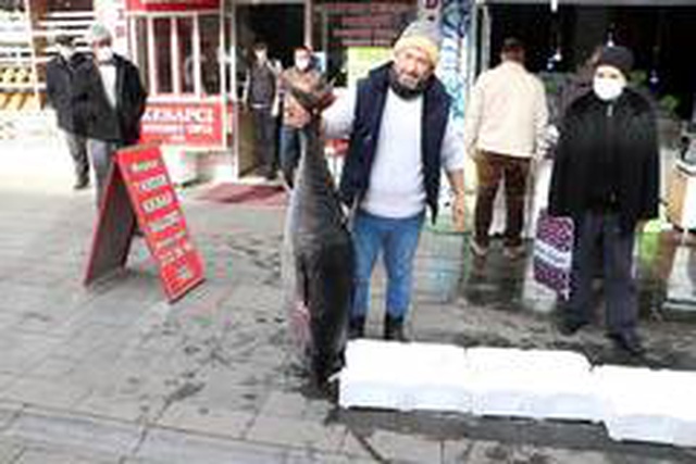 75 kilogramlık orkinos balığını 3 kişi zor kaldırdı 75 kilogramlık orkinos balığını 3 kişi zor kaldırdı