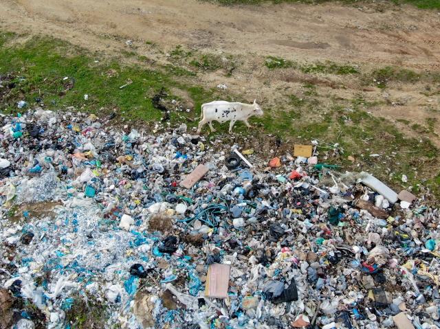 İstanbul'un bilinmeyen çöp dağları! Hayvanların otladığı yerdeki tahribat yürekleri sızlattı