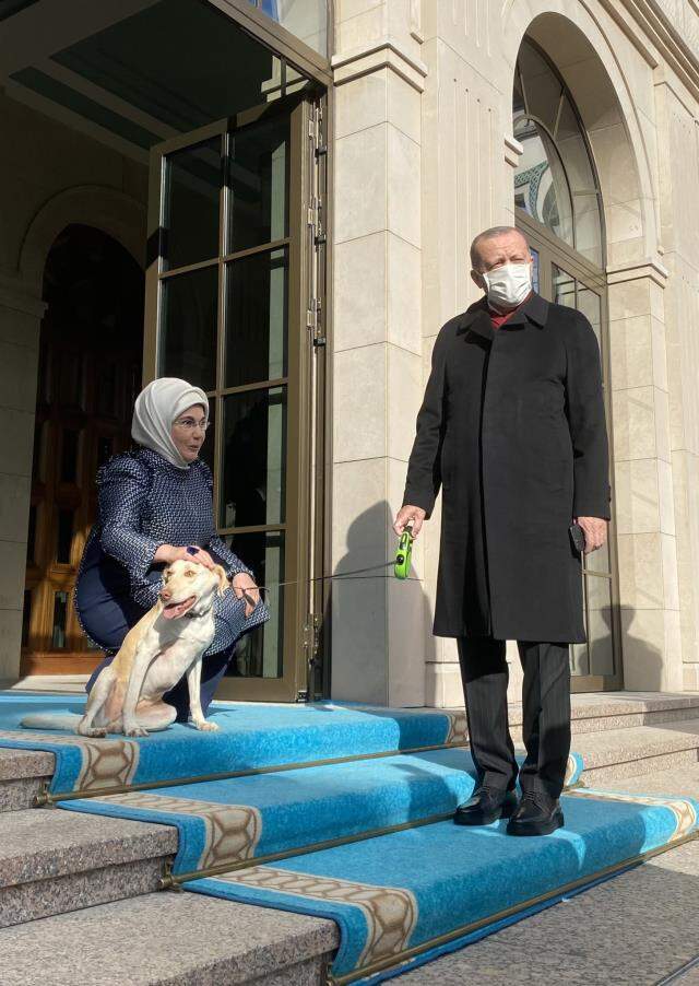 Cumhurbaşkanı Erdoğan'ı mesaiye Emine Erdoğan ve baktığı 'Leblebi' uğurladı Cumhurbaşkanı Erdoğan'ı mesaiye Emine Erdoğan ve baktığı 'Leblebi' uğurladı