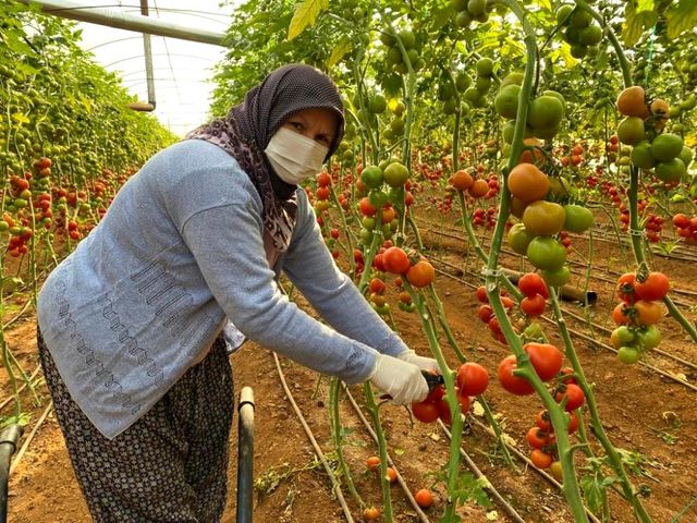 Kadın çiftçiler kısıtlamada da üretime devam etti Kadın çiftçiler kısıtlamada da üretime devam etti