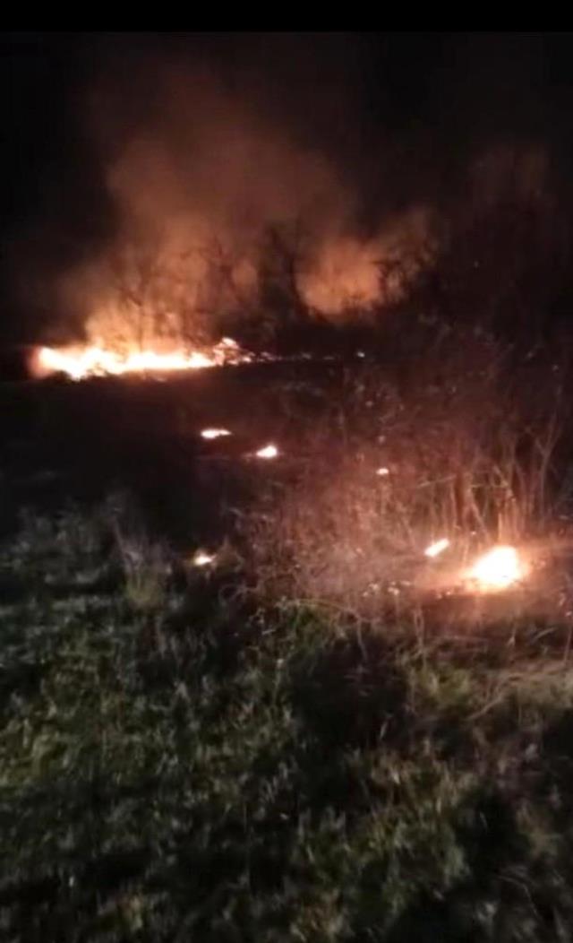 FETÖ firarisi Adil Öksüz'ün çanta gömdüğü iddia edilen bölgede orman yangını çıktı