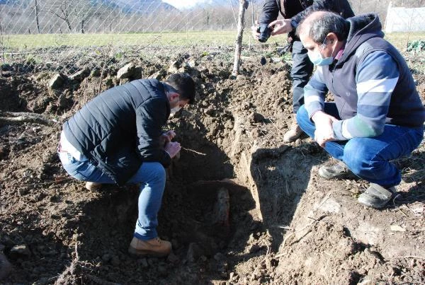 Ağaç dikmek için bahçesini kazan vatandaş, Bizans'a ait olabilecek mezarlar buldu