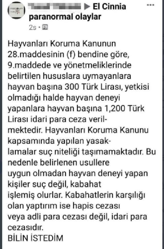 Boğazını kestiği tavuğu ateşe atıp, cinler alemine adadığını söyleyen kişi gözaltına alındı Boğazını kestiği tavuğu ateşe atıp, cinler alemine adadığını söyleyen kişi gözaltına alındı