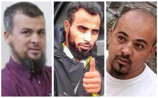 Libya: Altı kardeş ve aslanları bir kente nasıl dehşeti yaşattı?