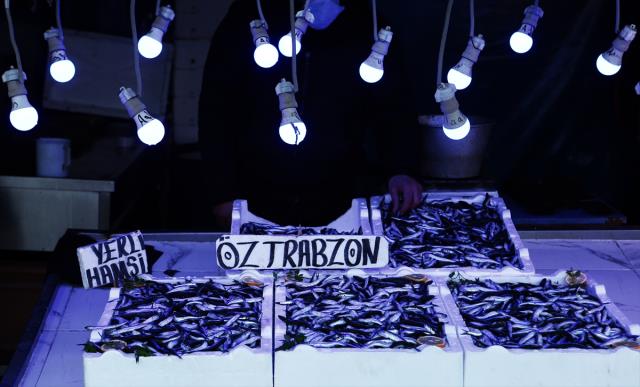 Karadeniz'de hamsi avının kısmen durdurulması Trabzon'da balığın fiyatını artırdı