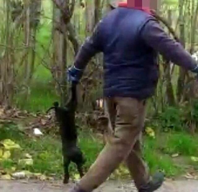 Yavru köpekleri annelerinden ayıran belediye görevlilerini uyaran genç kız saldırıya uğradı