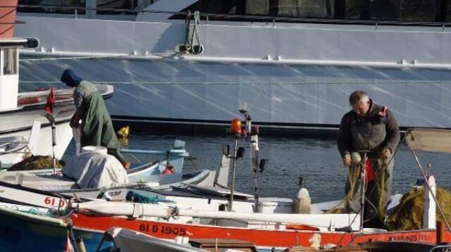 'Günde 70 kilo hamsi yiyen yunuslar, kontrollü avlansın'