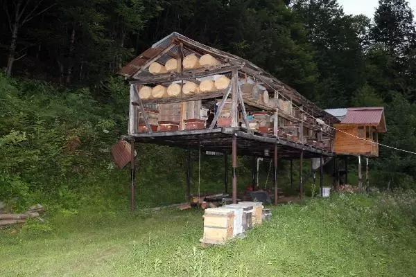 Deli balı kararında yiyen hastalıktan korunuyor, fazla yiyen hastanelik oluyor