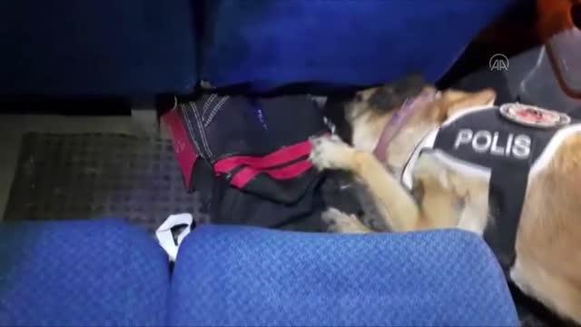 Emniyet düğmeye bastı! Narkotik köpeği 51 kilo eroin buldu Emniyet düğmeye bastı! Narkotik köpeği 51 kilo eroin buldu