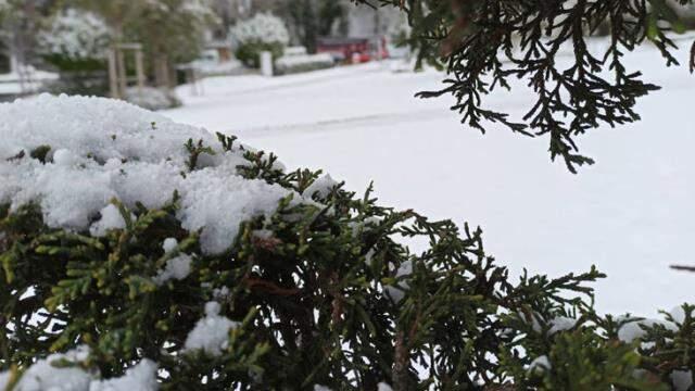 İstanbul'da kar yağışı kaç gün sürecek? Meteoroloji'den son hava durumu tahmini İstanbul'da kar yağışı kaç gün sürecek? Meteoroloji'den son hava durumu tahmini