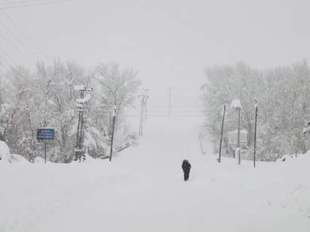 Ovacık'ta evler ve araçlar, kar altında
