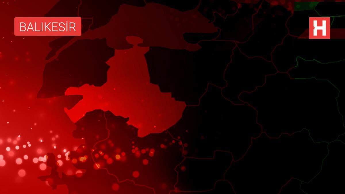 Balıkesir ve Dursunbey'de sokak ve yaban hayvanları için yem bırakıldı