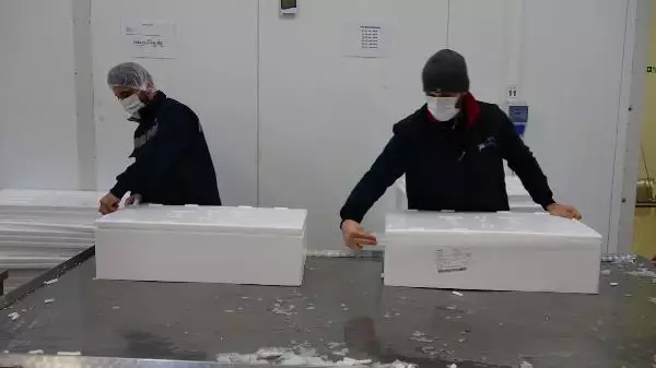 Japon sofralarında 'suşi' olan 'Karadeniz somonu geçen yıl ülkeye 23,7 milyon dolar kazandırdı