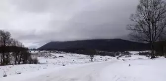 Bosna Hersek'teki göçmenlerin dondurucu soğukta yaşam mücadelesi devam ediyor