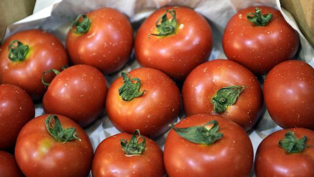 Rusya'nın 50 bin tonluk ek domates kotası üreticiyi sevindirdi