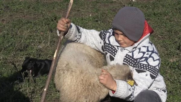 Hem okuyup hem çobanlık yapan Şevki, sosyal medyada fenomen oldu