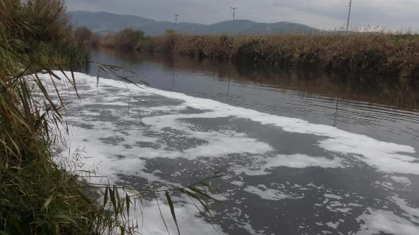Büyük Menderes'te kirlilik kritik seviyeye ulaştı, nehrin rengi siyaha döndü