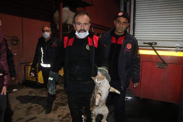 Hırçın kedi ekipleri alarma geçirdi, çıkması için hamsi bile verdiler Hırçın kedi ekipleri alarma geçirdi, çıkması için hamsi bile verdiler