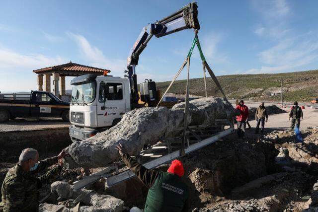 Midilli'de 20 milyon yıllık taşlaşmış ağaç fosili bulundu Midilli'de 20 milyon yıllık taşlaşmış ağaç fosili bulundu