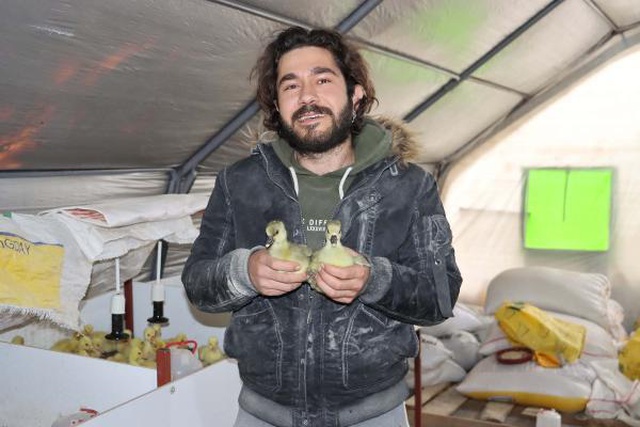 Üniversite öğrencisi pandemiyi fırsata çevirdi, kaz çiftliği kurdu Üniversite öğrencisi pandemiyi fırsata çevirdi, kaz çiftliği kurdu