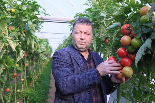 Domatesin fiyatı, 10 kilometrede 3 kat arttı Domatesin fiyatı, 10 kilometrede 3 kat arttı