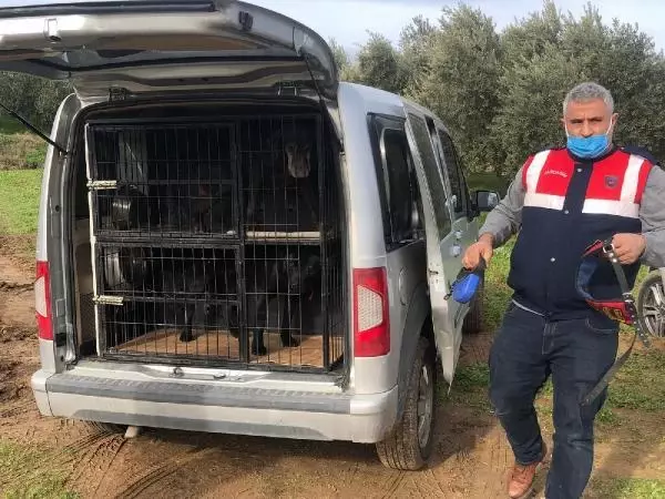 Manisa'da ölü bulunan 4 gençten geriye omuz omuza çekilmiş fotoğrafları kaldı