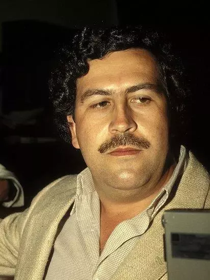 Pablo Escobar: Bilim insanları Kolombiya'daki 'kokain su aygırlarını' neden öldürmek istiyor?