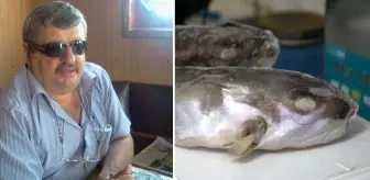 Balon balığı yiyen geminin ikinci kaptanı öldü, 4 denizci hastanelik oldu