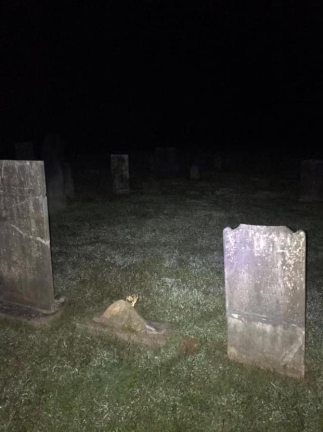 Mezarlıkta çektiği fotoğrafa eve dönünce bakan adam, hayaleti görünce şok oldu