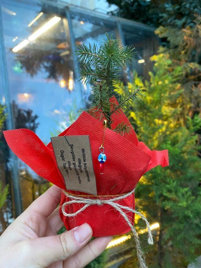 Özgür Saç, ziyaretçilerine 500 adet çam fidanı hediye etti