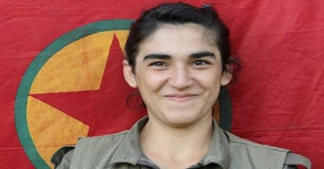 Milli Savunma Bakanı Akar ile İçişleri Bakanı Soylu'ya suikast planlayan PKK'lıya müebbet verildi
