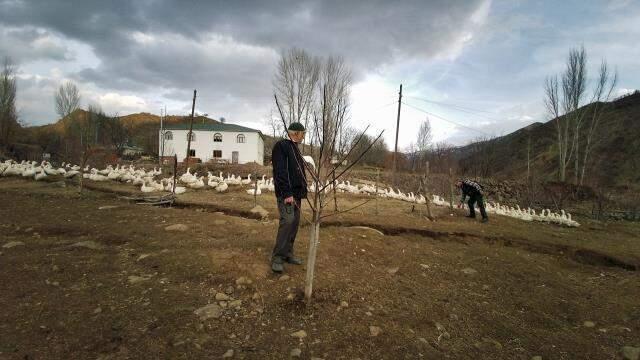 'Yapamazsın' dediler, kurduğu kaz çiftliğinde taleplere yetişemiyor