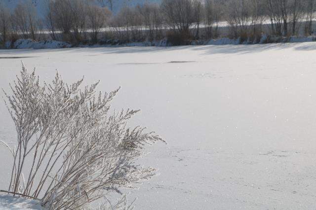 Türkiye'nin en soğuk noktasında havaya atılan su yere buz taneciği olarak düştü