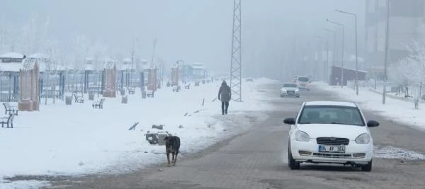 Doğu'da en soğuk il Ağrı; eksi 19 derece