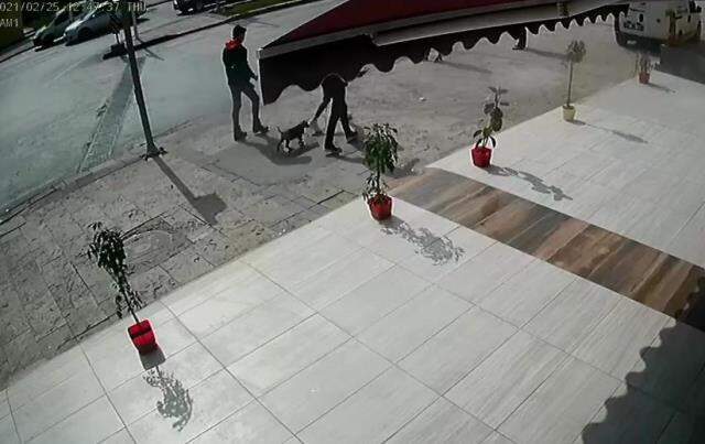 Kadın sürücü fren yerine gaza bastı, 3 kişiye çarptı! O anlar kamerada Kadın sürücü fren yerine gaza bastı, 3 kişiye çarptı! O anlar kamerada