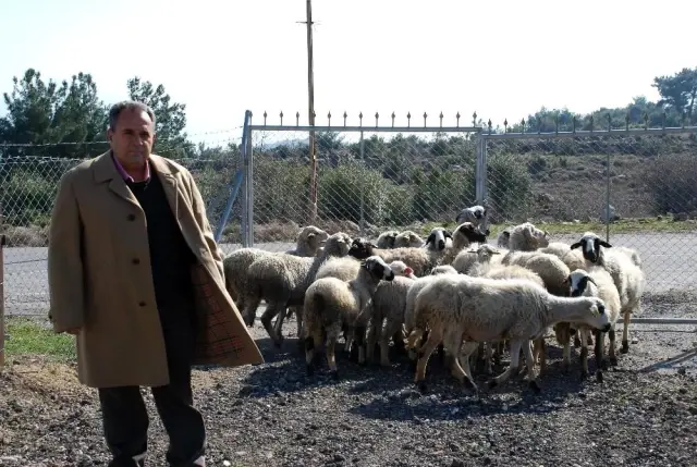 Keçi çobanlığından iş adamlığına