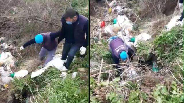 Ayaklarından bağlayıp çuvala koydukları köpeği ölüme terk ettiler Ayaklarından bağlayıp çuvala koydukları köpeği ölüme terk ettiler